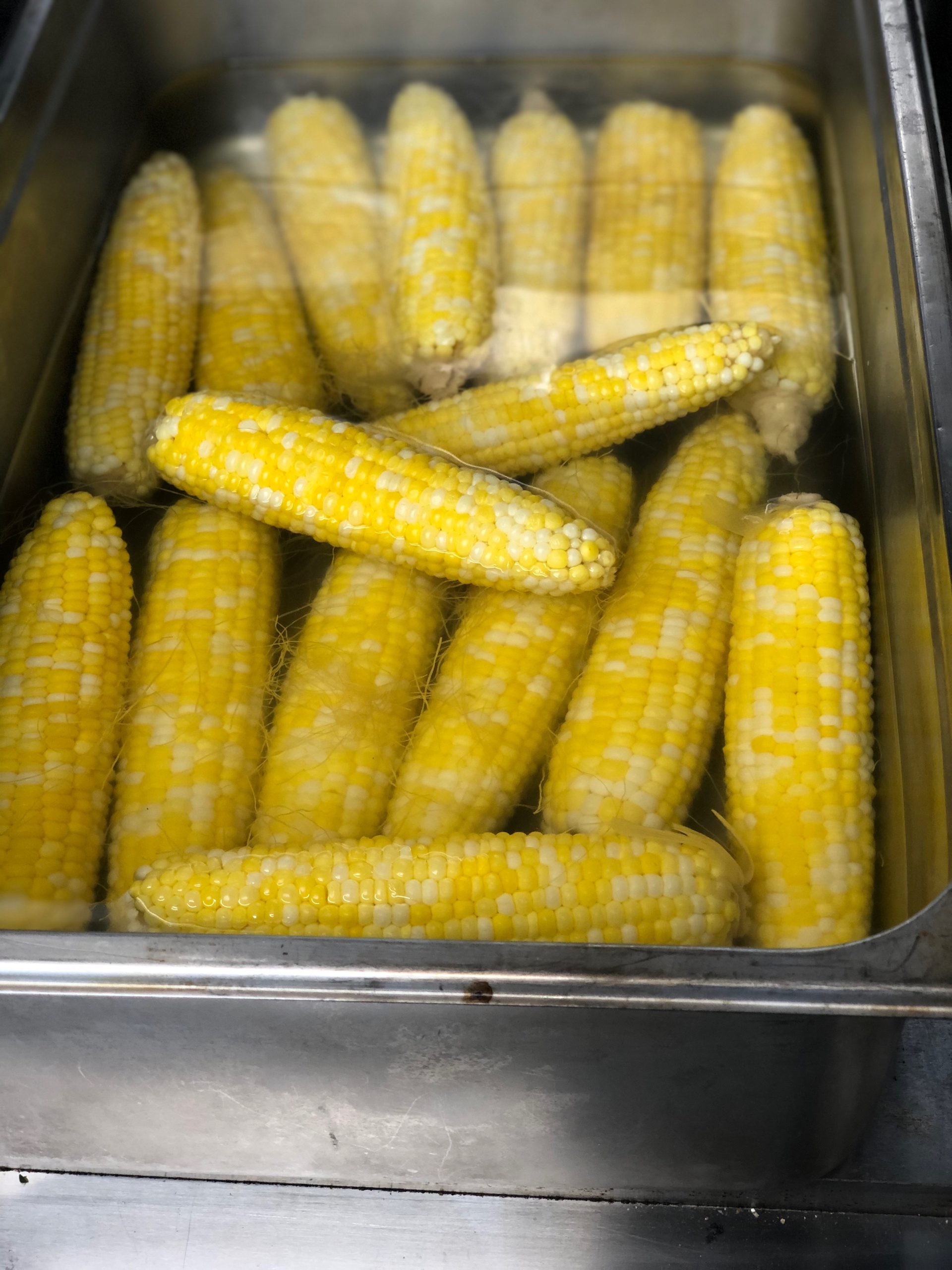 Several ears of boiled corn in a stainless steel tray.